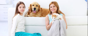 Pets