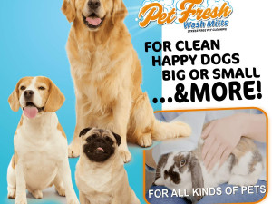 Dog Food
